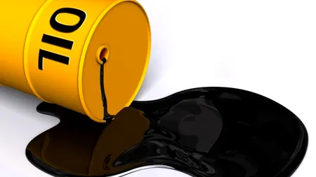 Chițoiu: Redevențele pentru petrol și gaze nu vor fi modificate până în 2015