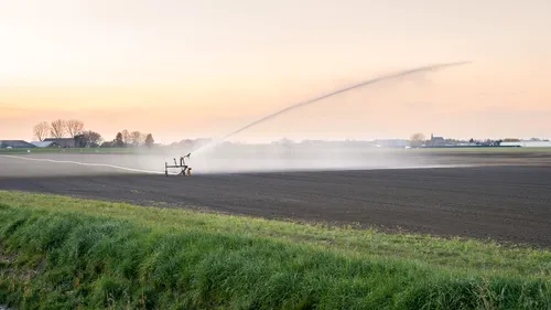 O țară vecină importă apă din România pentru irigații. Culturile românilor, în schimb, sunt distruse din cauza secetei