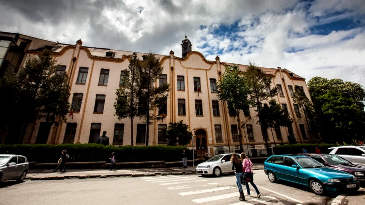 Patru cai au apărut într-un parc din Zalău. Ce a urmat