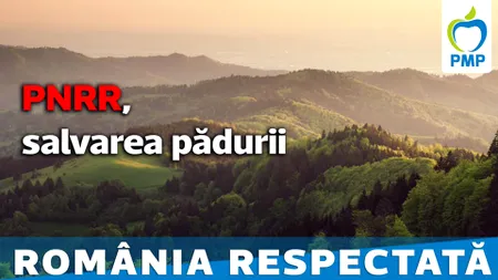 PMP: PNRR, o mare șansă pentru salvarea pădurilor