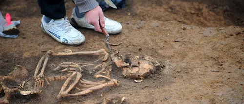 Schelete umane descoperite de muncitorii Apa Nova pe Șoseaua Cotroceni din București