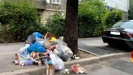 Prefectul Capitalei, mesaj categoric: Primăria Sectorului 1 trebuie să plătească Romprest pentru serviciile prestate!