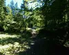 Locul din Bucovina înțesat de turiști pe timp de vară. Oaza de răcoare preferată și de străini