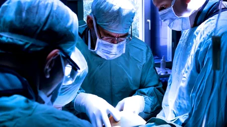 Premieră medicală: primul vas de sânge 