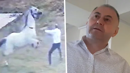 Ies la iveală informații cumplite din trecutul lui Fănel Bogos, în dosarul căruia a fost pusă sub acuzare Cristina Trăilă. Afaceristul a torturat un cal până la moarte. Polițiștii au descris scenele ca fiind 