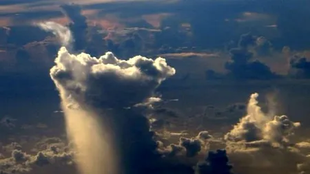 Fenomen bizar în California. Ce s-a întâmplat după o lungă perioadă de secetă