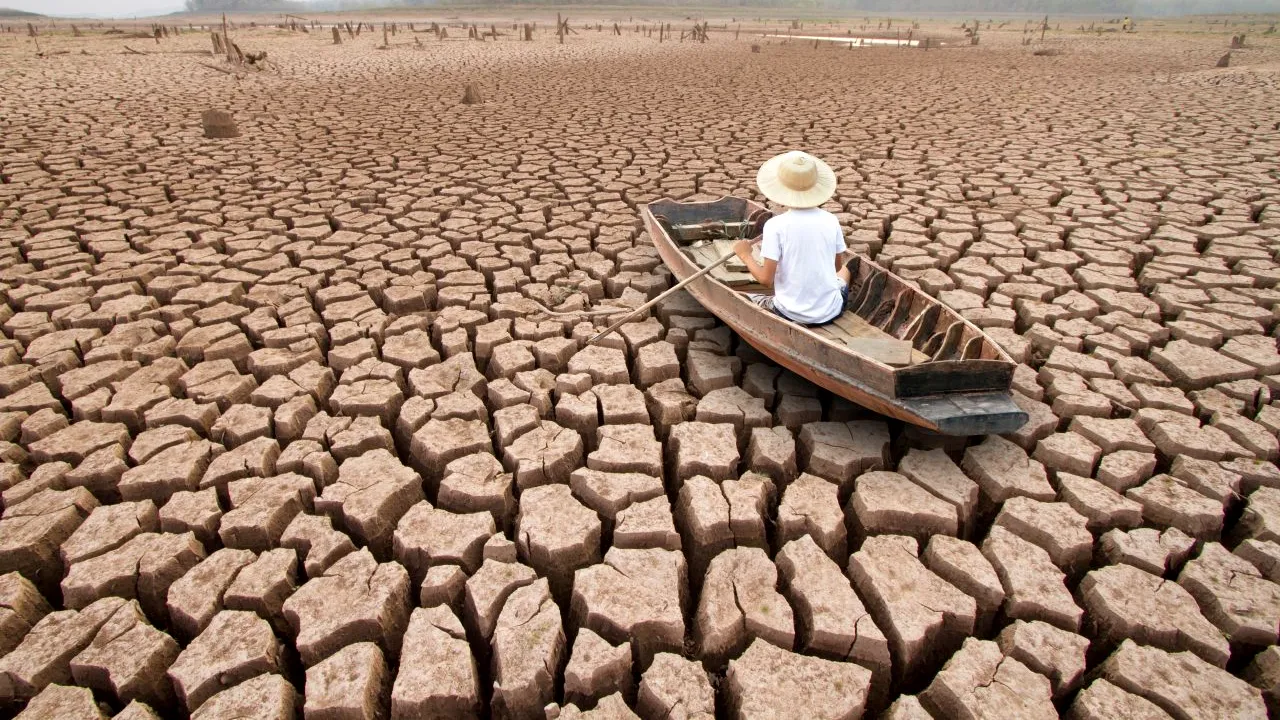 Aproape 14.000 de oameni de știință atrag atenția că Pământul își pierde „funcțiile vitale”