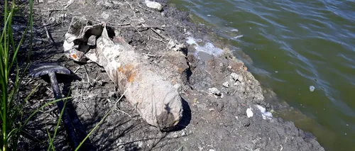 O bombă de aviație a apărut în mâl, după ce nivelul unui lac din Vaslui a scăzut (FOTO)