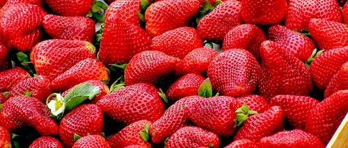 Cine nu ar trebui să mănânce căpșune! Motivul pentru care ar trebui să stea departe de aceste fructe delicioase