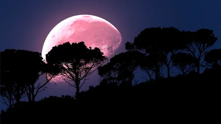 Superluna roz, un fenomen care va apărea pe cer în noaptea de 7 spre 8 aprilie