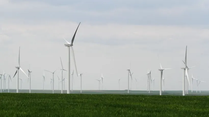 Percheziții la firme din domeniul energiei eoliene. Acestea sunt suspectate de fraudarea de fonduri UE