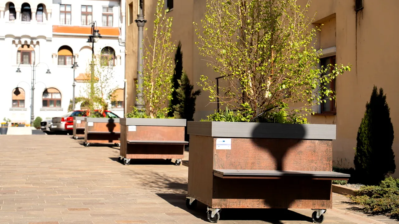 Țara nu are bani, dar Oradea cumpără copaci pe roți cu 2.600 de euro bucata. Poze incredibile cu “pădurea urbană mobilă” din orașul lui Bolojan 