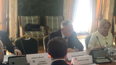 Vâlcov, condamnat la 8 ani închisoare, așteptat de Dăncilă la prima ședință a Comisiei pentru trecerea la Euro