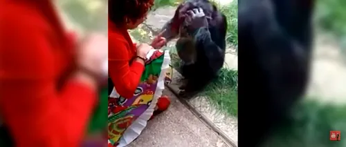Motivul incredibil pentru care o grădină zoologică din Belgia interzice vizitele unei femei: ”Iubesc acel animal și el mă iubește”