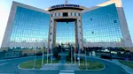 4 maimuțe fără documente legale, descoperite la Vama Moravița. Cum a justificat șoferița ucraineană transportul în fața polițiștilor de frontieră