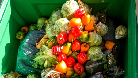 Studiu: Aproximativ 40% din alimentele produse la nivel mondial sunt risipite