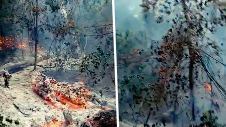 Incendiu puternic în pădurea din apropierea localităţii Plauru. Ar fi fost cauzat de explozia unei drone, susțin localnicii