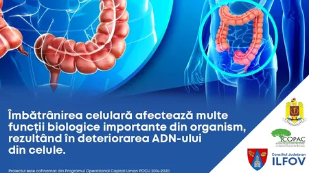 Consiliul Județean Ilfov desfășoară un program de prevenție, depistare precoce, diagnostic și tratament precoce al leziunilor precanceroase colorectale (P)