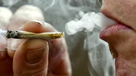 Efectele extrem de periculoase ale etnobotanicelor. Un caz din SUA, în care doi oameni au murit, iar alții aveau sângerări din ochi, i-a șocat pe medici