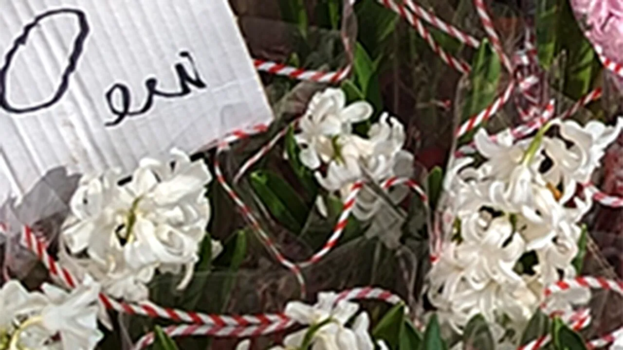 Cu câți lei a ajuns să se vândă o zambilă astăzi, 1 martie, în București