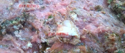 Descoperire macabră în Bârlad: o bucată de deget, găsită într-o pungă de carne tocată dată de Primăria Bârlad unui asistat social