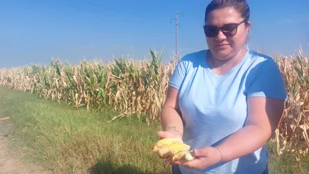 România va primi 21,6 milioane de euro, din partea Comisiei Europene, pentru FERMIERII afectați de secetă. Condițiile impuse țării noastre