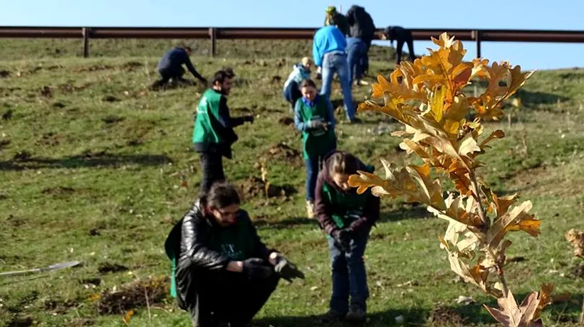Prima acțiune de împădurire din 2017. 300 de voluntari vor planta 5.000 de copaci la Siliștea Gumești 