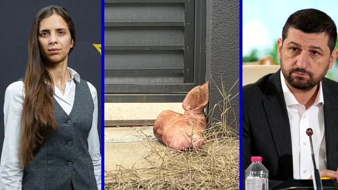 Detalii în exclusivitate din „Operațiunea: Cap de Porc” de la poarta lui Lulea. Complicele făptașului s-a confesat pentru Gândul și anunță că are înregistrări cu Marius Lulea: „Toată lumea va vedea cine este cu adevărat și cât de bolnav de răutate este”