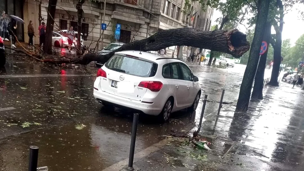 FURTUNA din București a doborât mai mulți copaci și unii au căzut pe firele electrice, iar alții pe mașini. ISU-BIF a anunțat ce zone au fost afectate