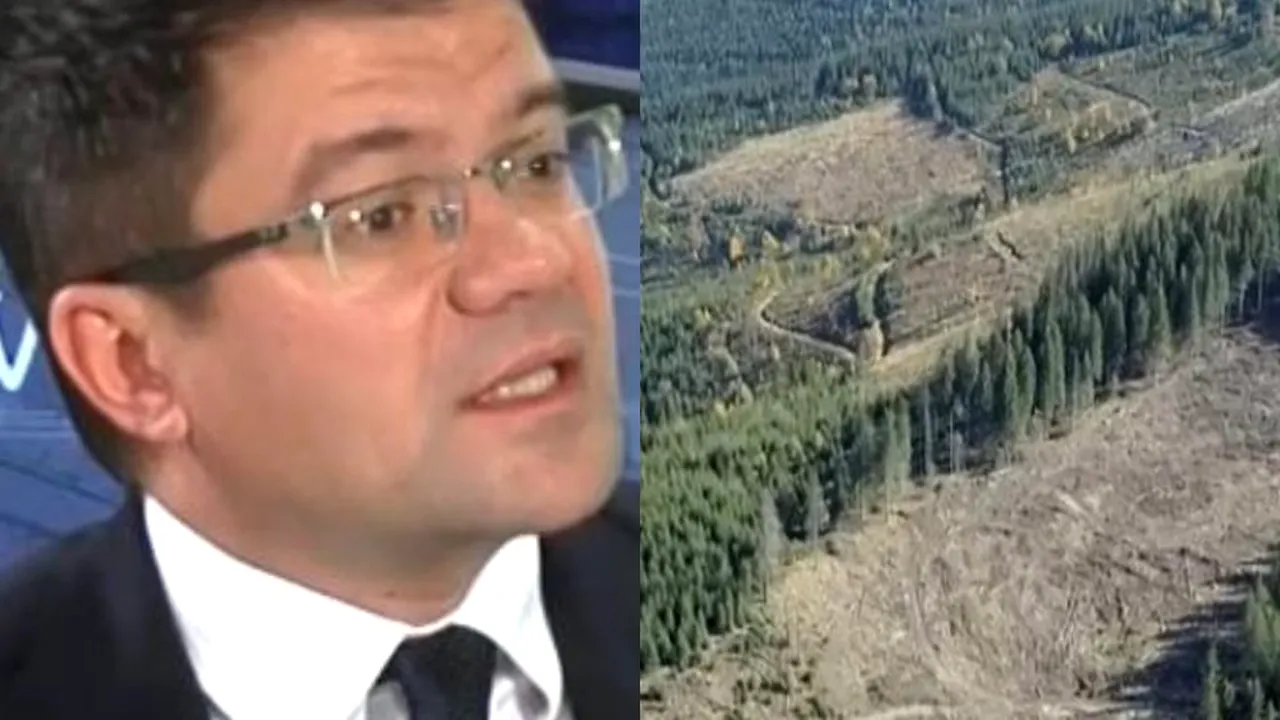 ROMÂNIA VERDE | Ministrul Mediului anunță o campanie amplă de împădurire, începând din primăvară, finanțată de la bugetul de stat