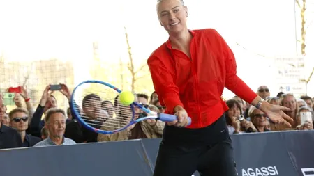 Simona Halep pierde locul 2 WTA după ce Șarapova s-a calificat în finală la Roma. Pe ce poziție se află românca