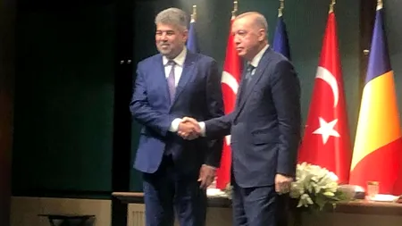 Marcel Ciolacu: APROBĂM un memorandum prin care organizăm, în regim de urgenţă, reluarea exporturilor şi tranzitului cu carne şi animale vii în Turcia