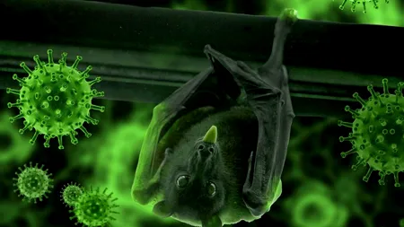 CERCETĂTORI: Omenirea, aproape de o nouă pandemie