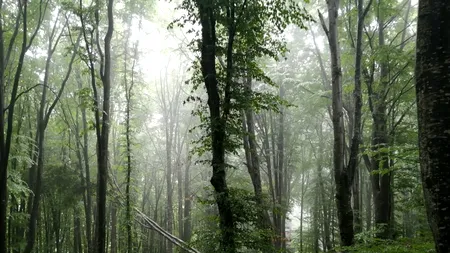 Ziua Mediului și neutralitatea climatică, obiectiv prioritar al UE