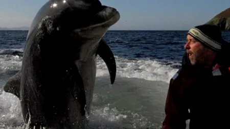 Cât de inteligenți sunt, de fapt, delfinii. O nouă teorie a oamenilor de știință