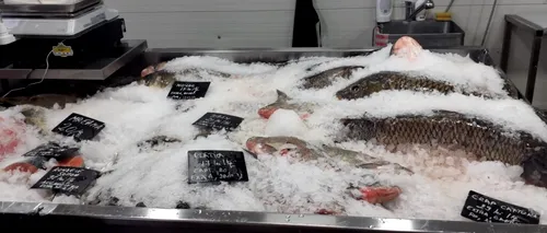VIDEO. Peste 1.000 de kilograme de pește, CONFISCATE de polițiștii Capitalei, după controalele din piețe