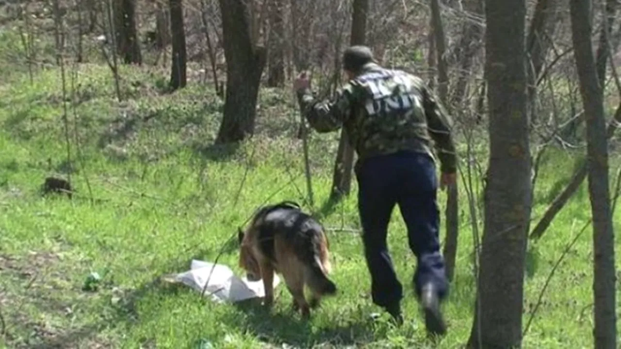 O fetiță de patru ani, din Brașov, dispărută de luni după-amiază, a fost găsită în viață