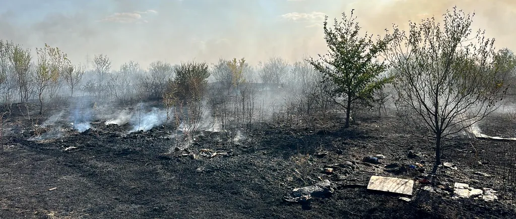 INCENDII puternice în apropiere de București. Autoritățile au intervenit de urgență