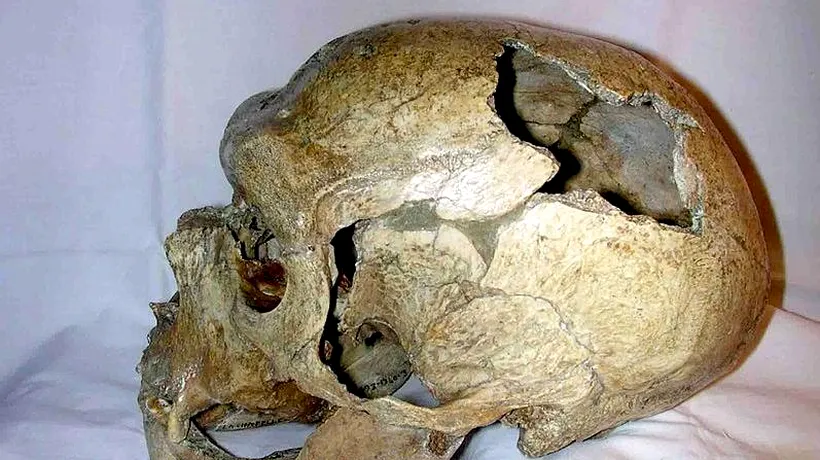 Cercetătorii au descoperit un caz de canibalism la oamenii de Neanderthal