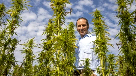 Cercetătorii din Brazilia așteaptă aprobările pentru un VAST studiu privind cultivarea de canabis