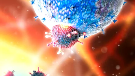 Trei pacienți sub 30 de ani, printre victimele COVID înregistrate în ultimele 24 de ore