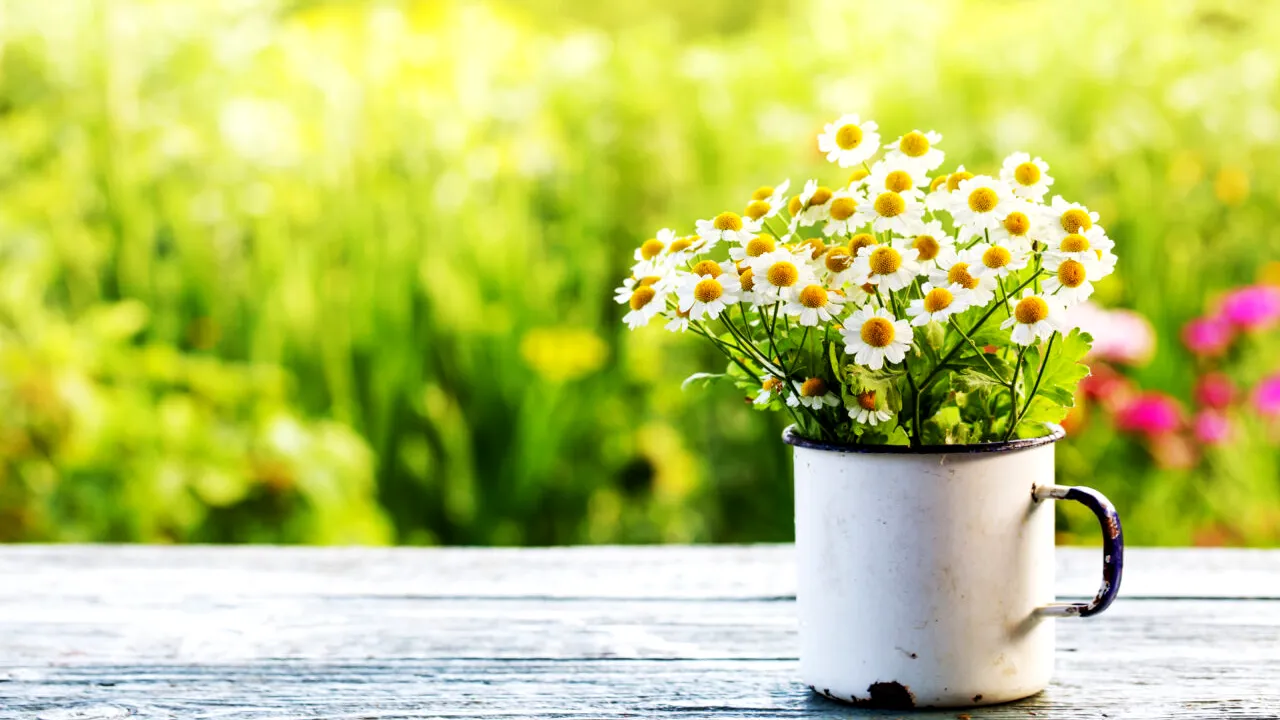 Prognoza meteo pentru luna mai. Când se va termina FRIGUL și vremea rea în România