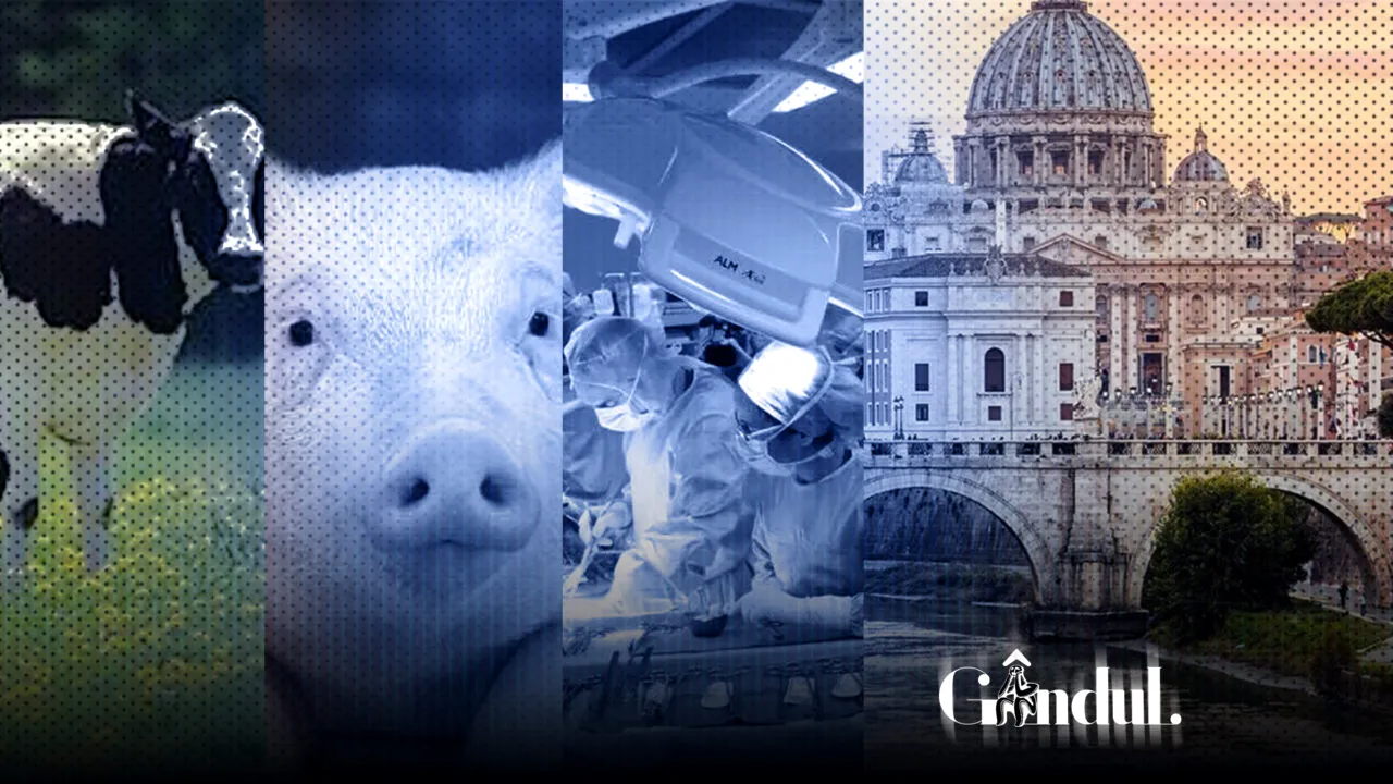 Catolicii au primit aprobarea Vaticanului: pacienții pot primi transplanturi de organe de la animale