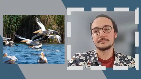 GÂNDUL GREEN. Cercetător: „Crește nivelul Mării Negre și aici avem o PROBLEMĂ cu Delta Dunării”