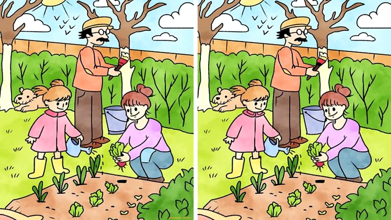 TEST IQ | Găsiți toate cele 5 diferențe dintre aceste două imagini