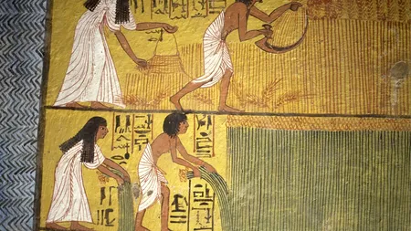 Ești stresat din cauza TAXELOR? Egiptenii antici sunt cei care le-au inventat din anul 3000 î.Hr.