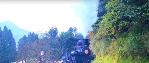 IMAGINI DE VIS cu linia ferată din Munții Alishan. Are peste 70 de kilometri și a fost lansată în urmă cu 106 ani