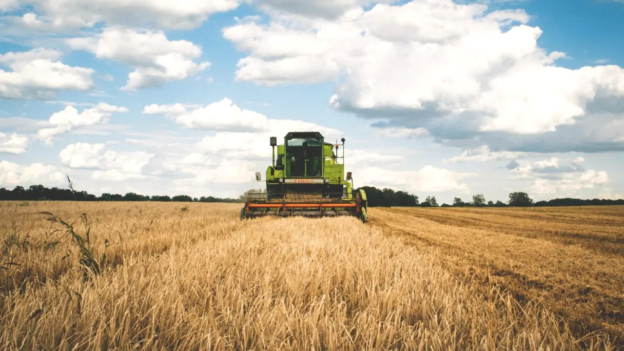 RAPORT. Startup-urile europene din agritech și agrifood au primit peste 3 miliarde dolari din partea fondurilor de investiții. În România, au ajuns patru milioane dolari