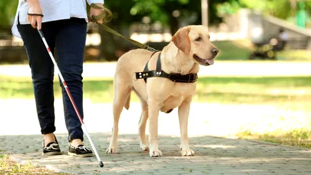 Compania Uber, obligată să plătească despăgubiri de 1,1 milioane de dolari unei nevăzătoare. Care este motivul