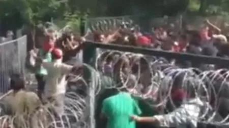 Scene violente la granița dintre Serbia și Ungaria. Ciocnirile dintre imigranți și poliția ungară s-au soldat cu sute de răniți. Un 